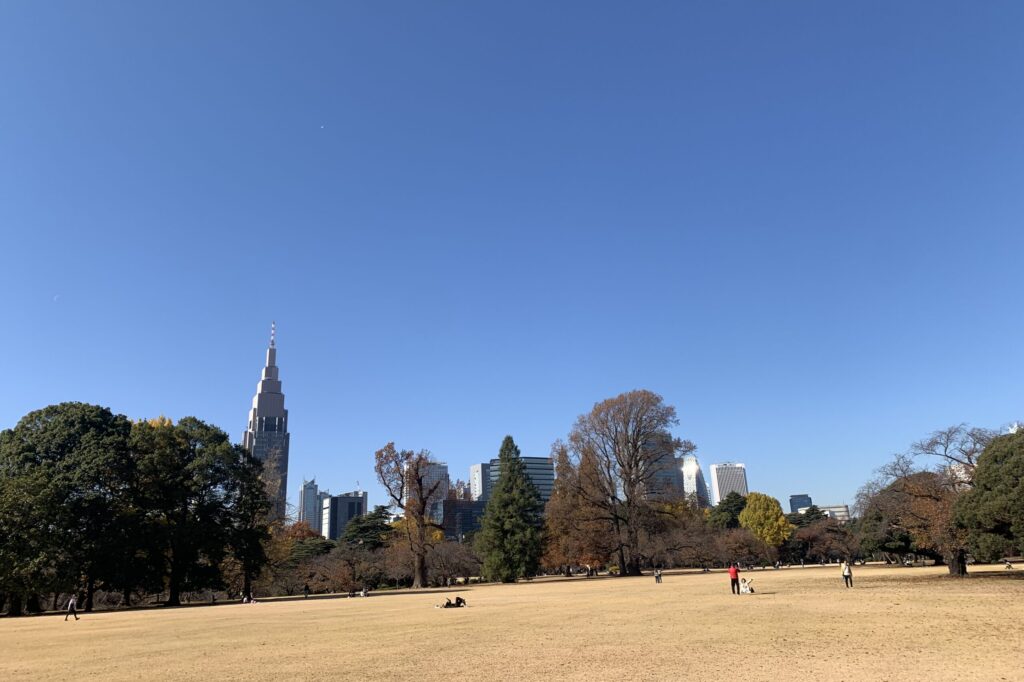 Shinjuku Gyoen Overview, Tokyo Walking Guide