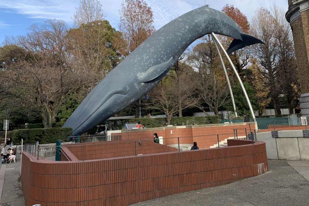 Blue Whale Statue at National Museum of Nature and Science, Ueno , Tokyo