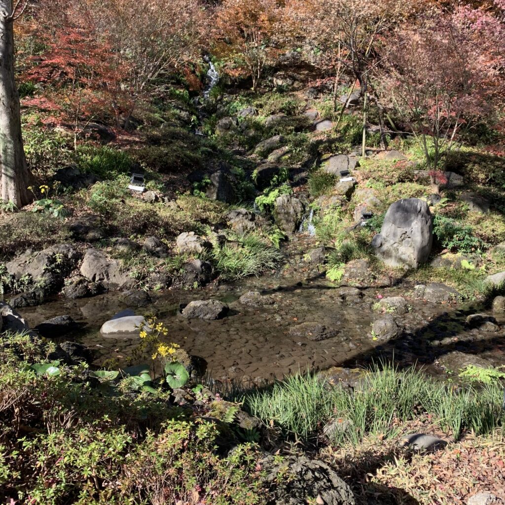 Artificial Gorge, Momiji Valley, Shiba Park, Tokyo