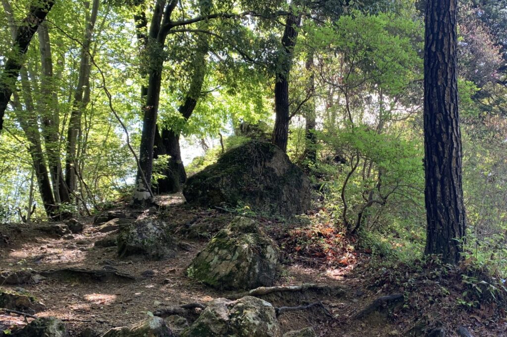 Top of Mt. Ajiro Benten Yama, Akigawa Hill, Akiruno City