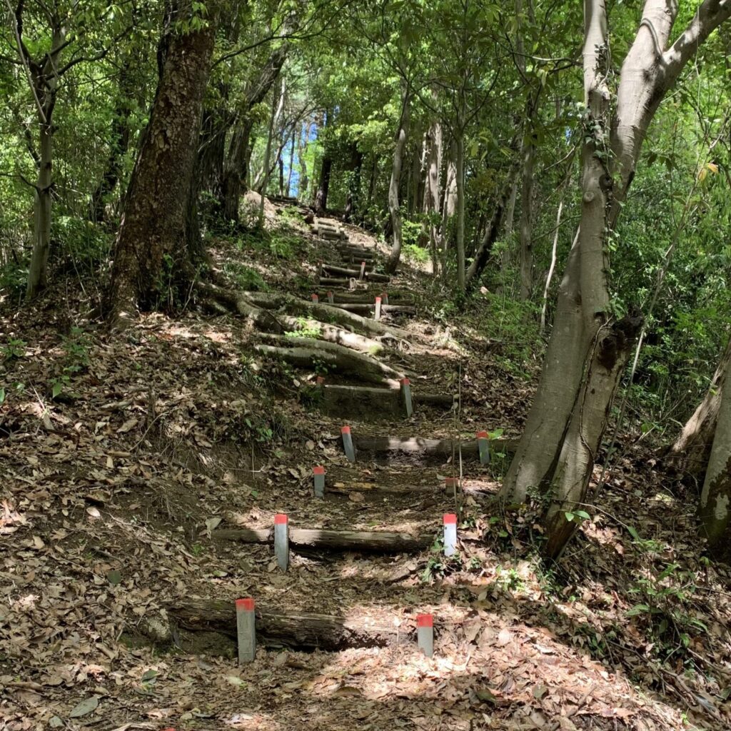 Steep Section to Shiro Yama, Akigawa Hill, Akiruno City