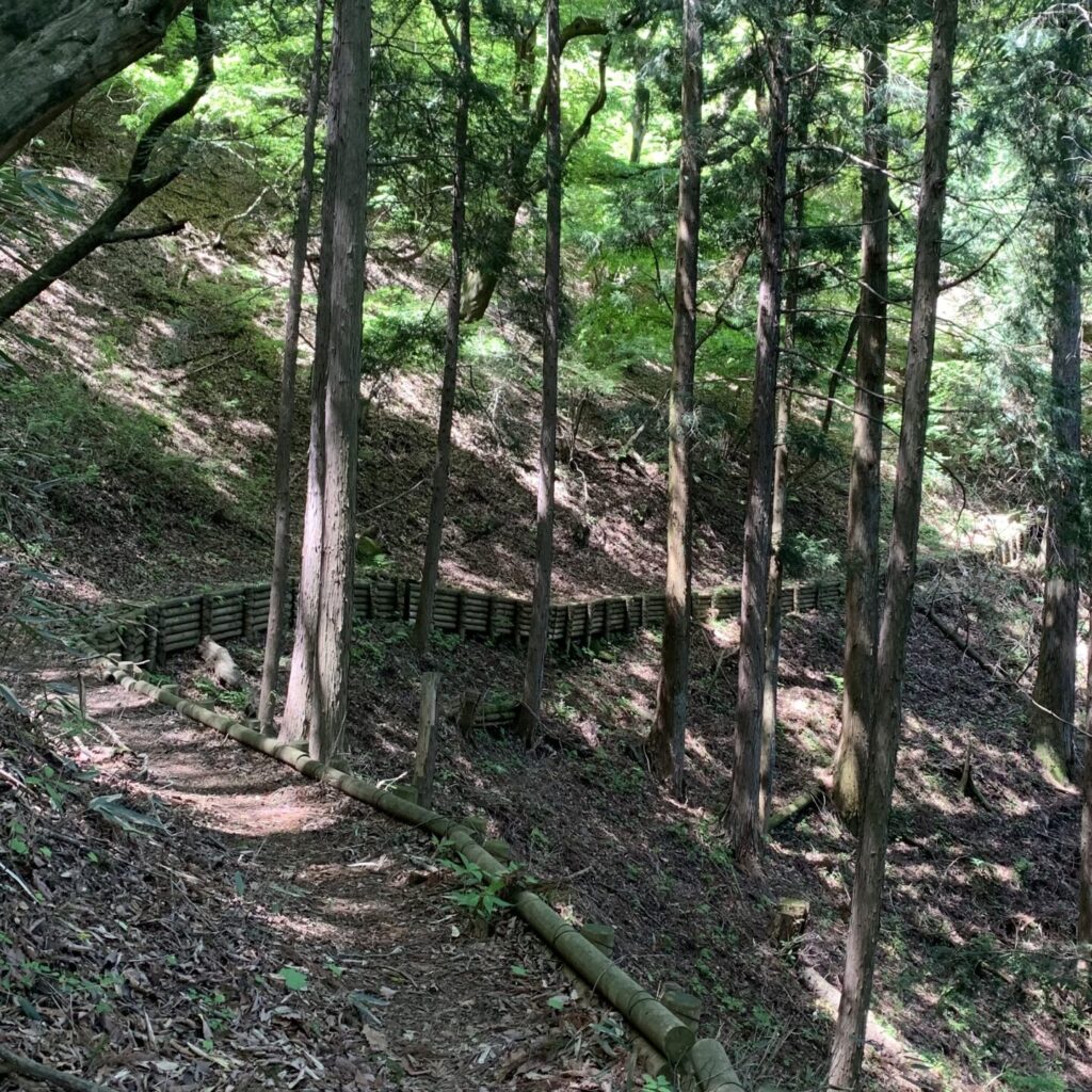 Forest Trail to Mt. Hinode,  Hinode Town, Tokyo