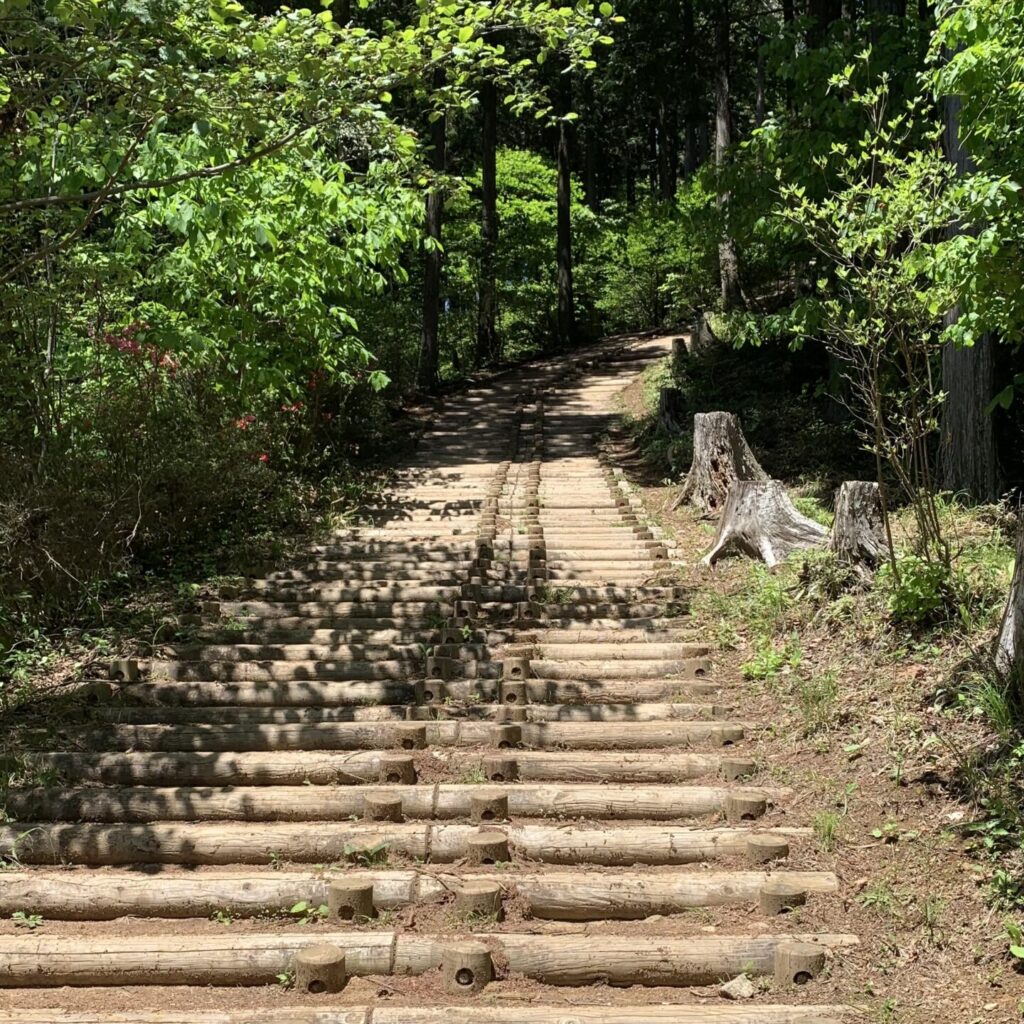 Steep Stairs to Mt. Hinode,  Hinode Town, Tokyo