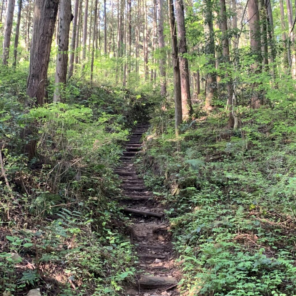 Trail  for Shiroyama, Akigawa Shiroyama, Akiruno City