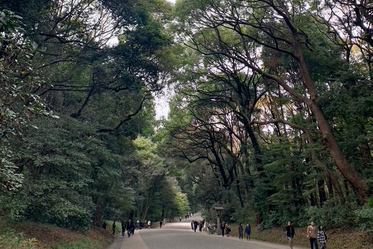 Pathway, Meiji Shrine, Shibuya, Tokyo Power Spots