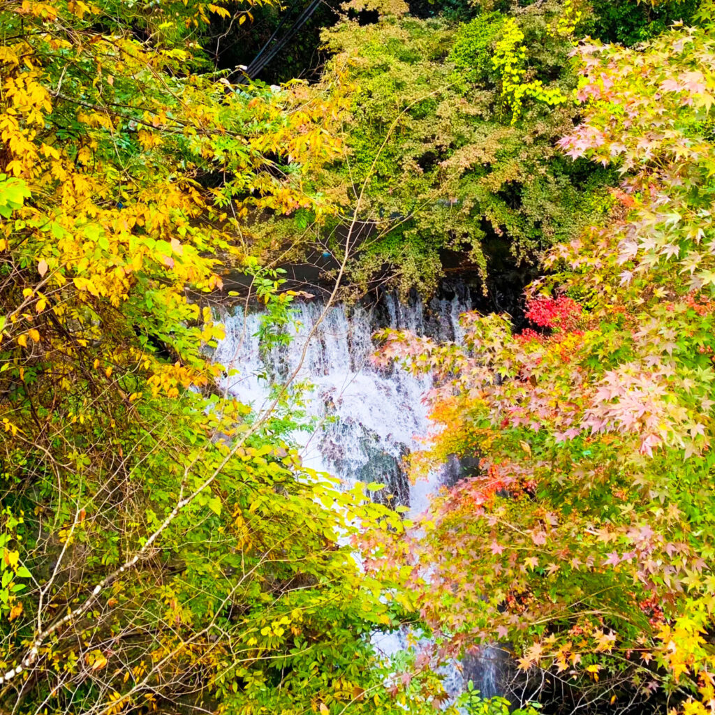 Kiyomi Waterfall, Okutama, Tokyo Walking Guide