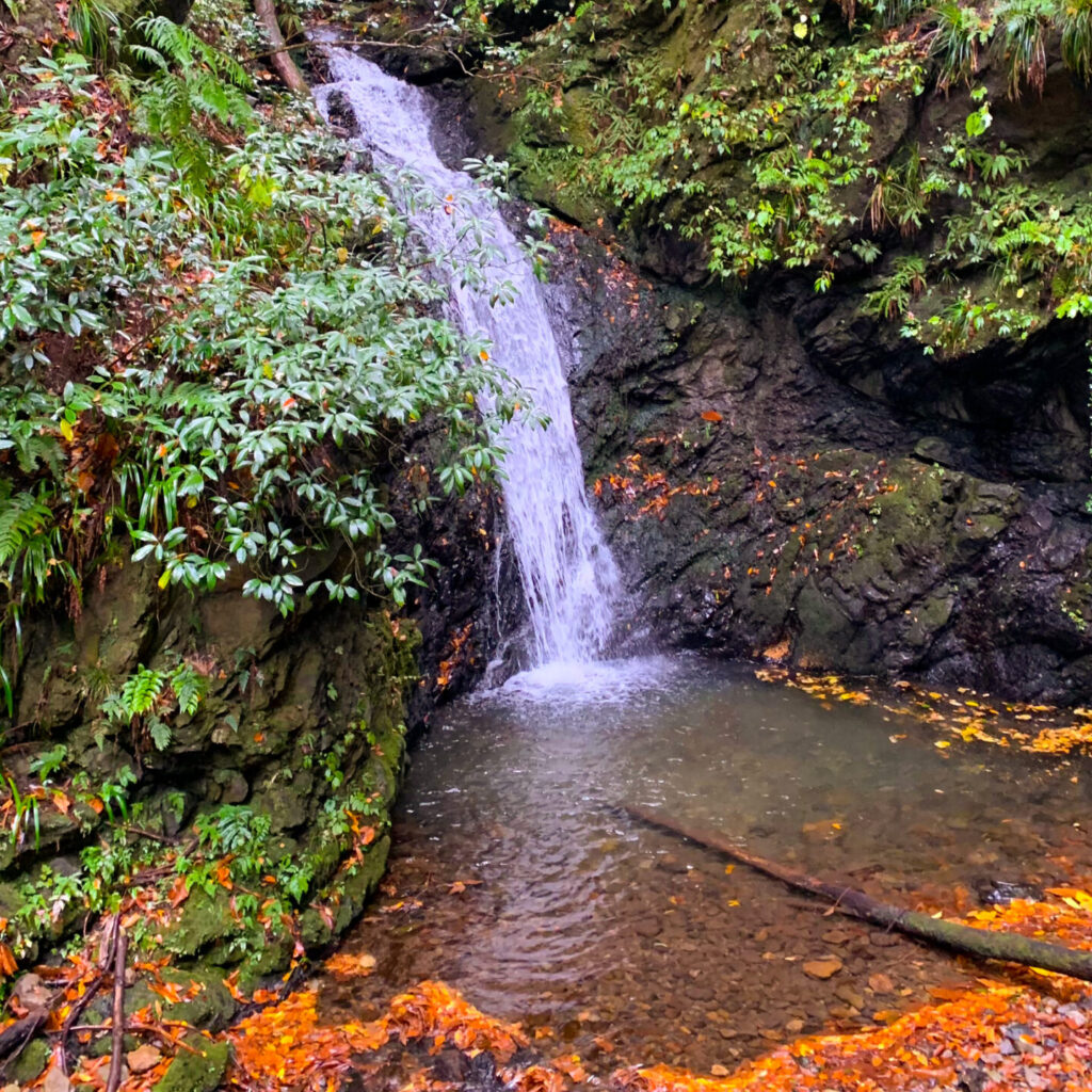 Ueno Waterfall, Ohtama Walking Trail, Okutama, Tokyo Walking Guide