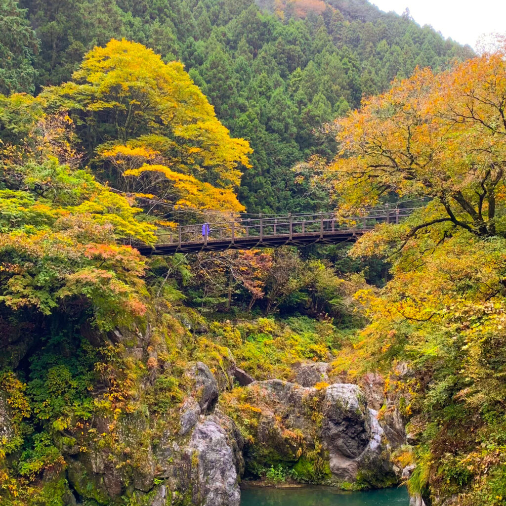 Hatonosu Kobashi, Ohtama Walking Trail, Okutama, Tokyo Walking Guide