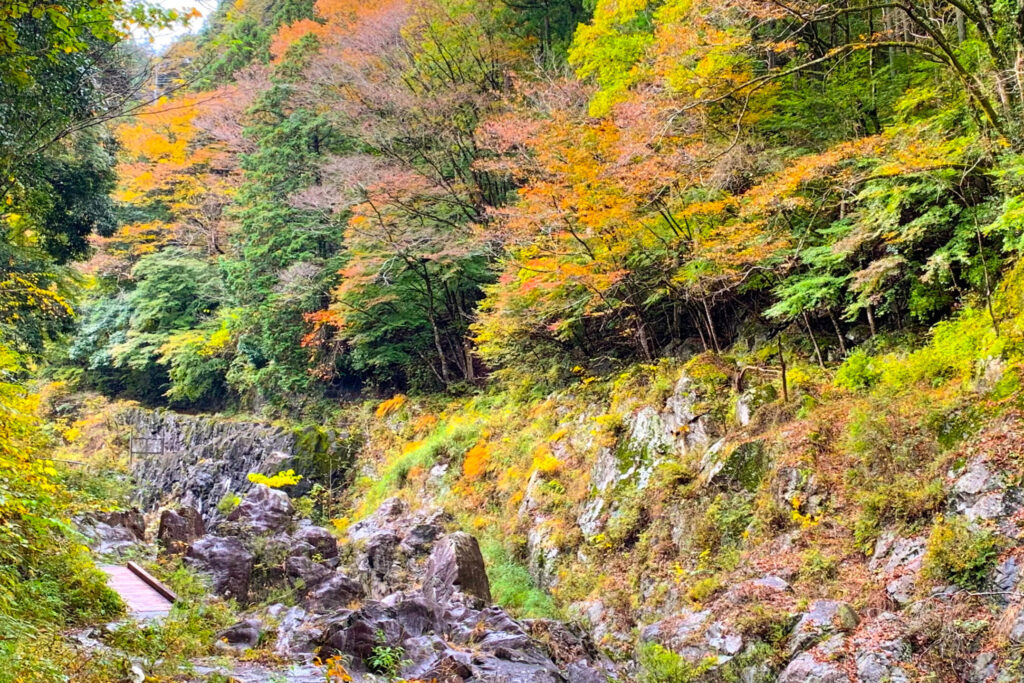 Hatonosu Valley, Ohtama Walking Trail, Okutama, Tokyo Walking Guide