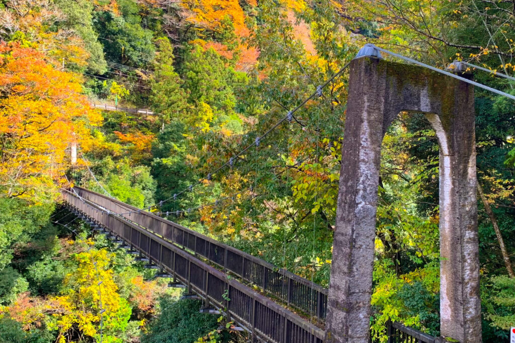 Moegi Bridge, Okutama, Tokyo Walking Guide