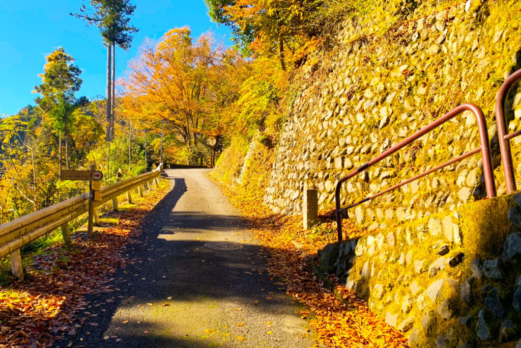 Turnoff on the Okutama Old Road, Okutama, Tokyo Walking Guide