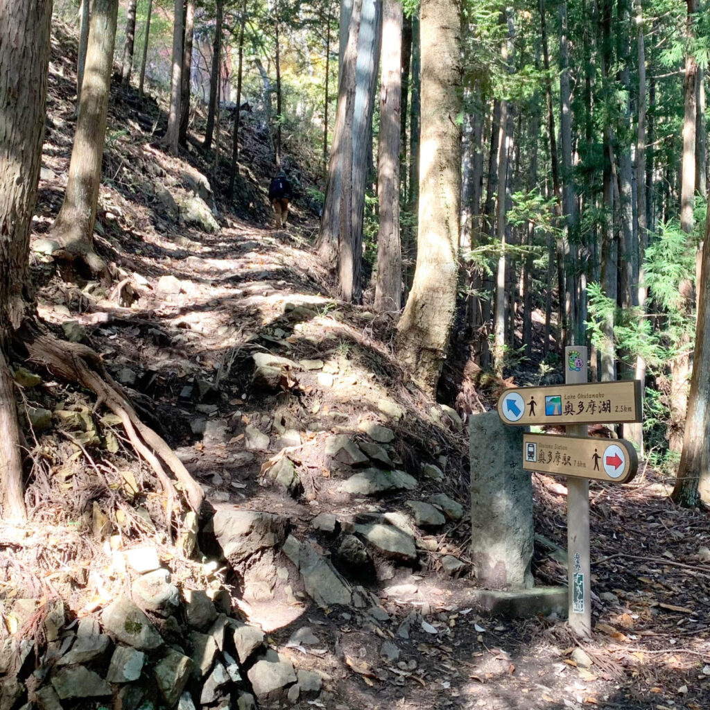 MOuntain trail on the Okutama Old Road, Okutama, Tokyo Walking Guide