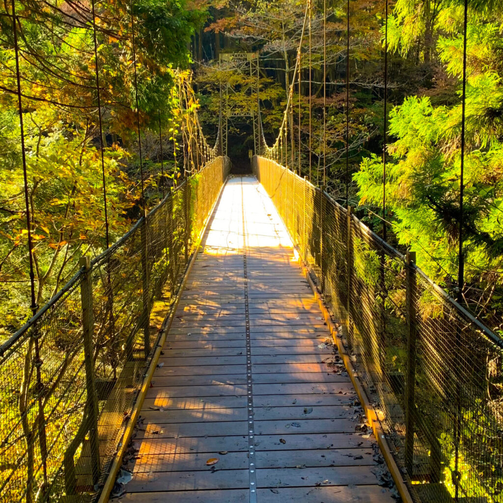 Dosho Bridge, Okutama Old Road, Okutama, Tokyo Walking Guide