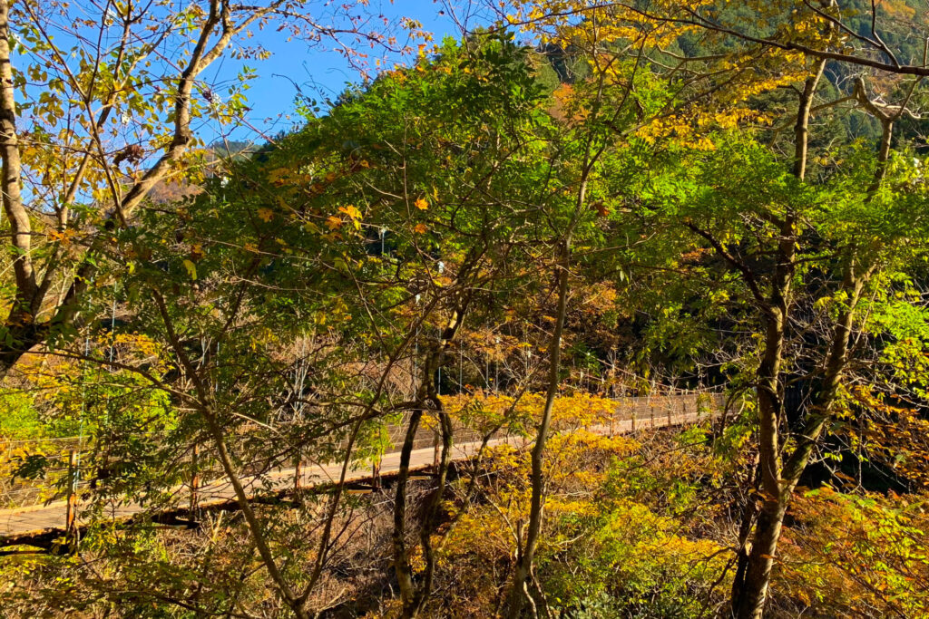 Shidaraku Suspension Bridge, Okutama Old Road, Okutama, Tokyo Walking Guide