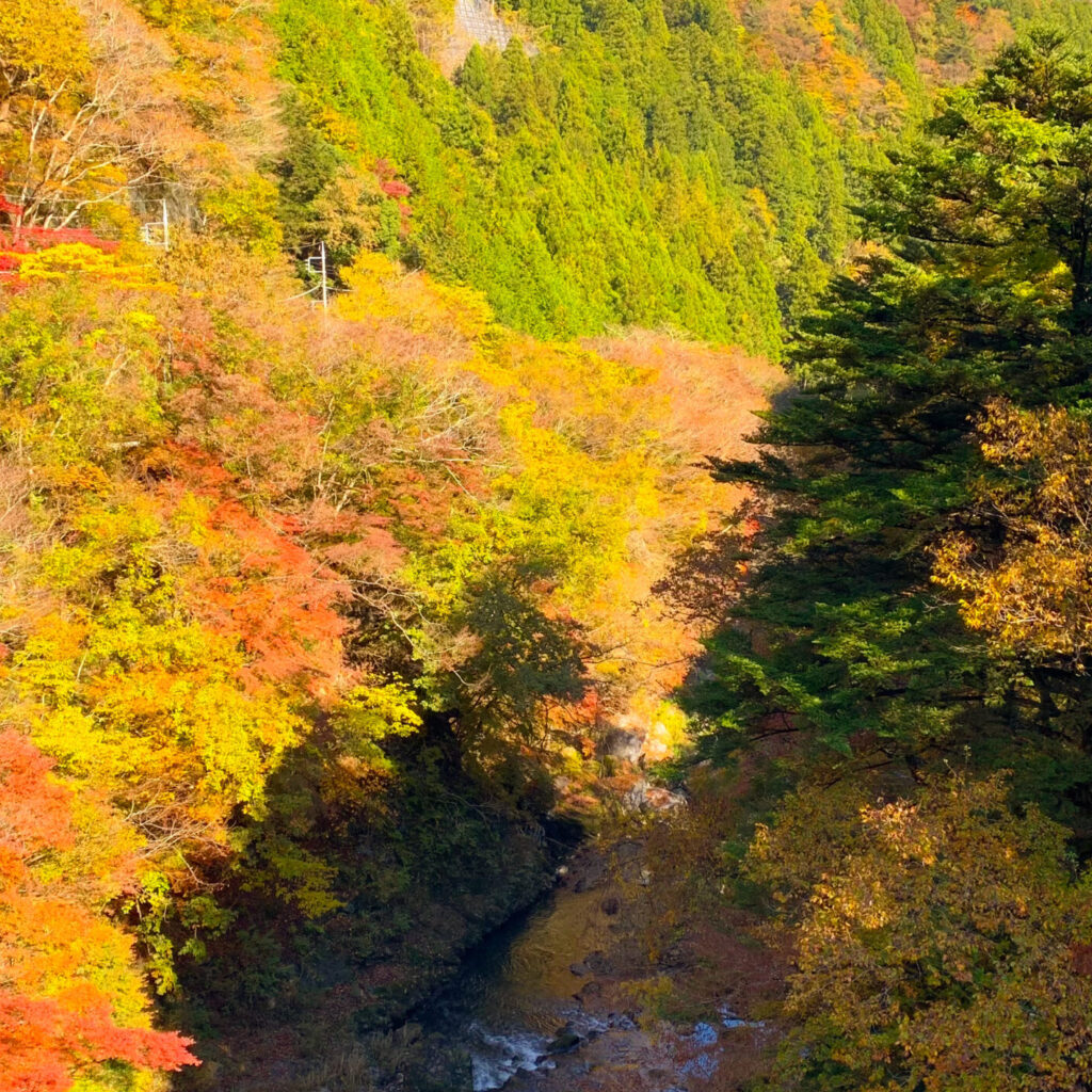 Okutama Valley, Okutama Old Road, Okutama, Tokyo Walking Guide