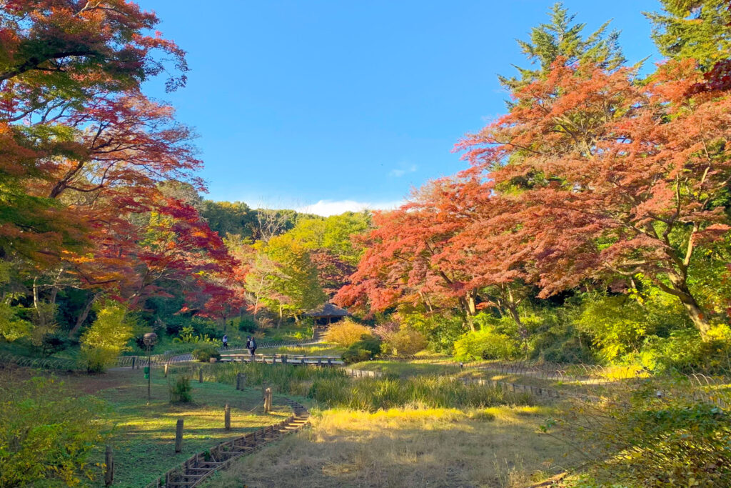 Meiji Jingu Gyoen, Meiji Shrine, Shibuya, Tokyo