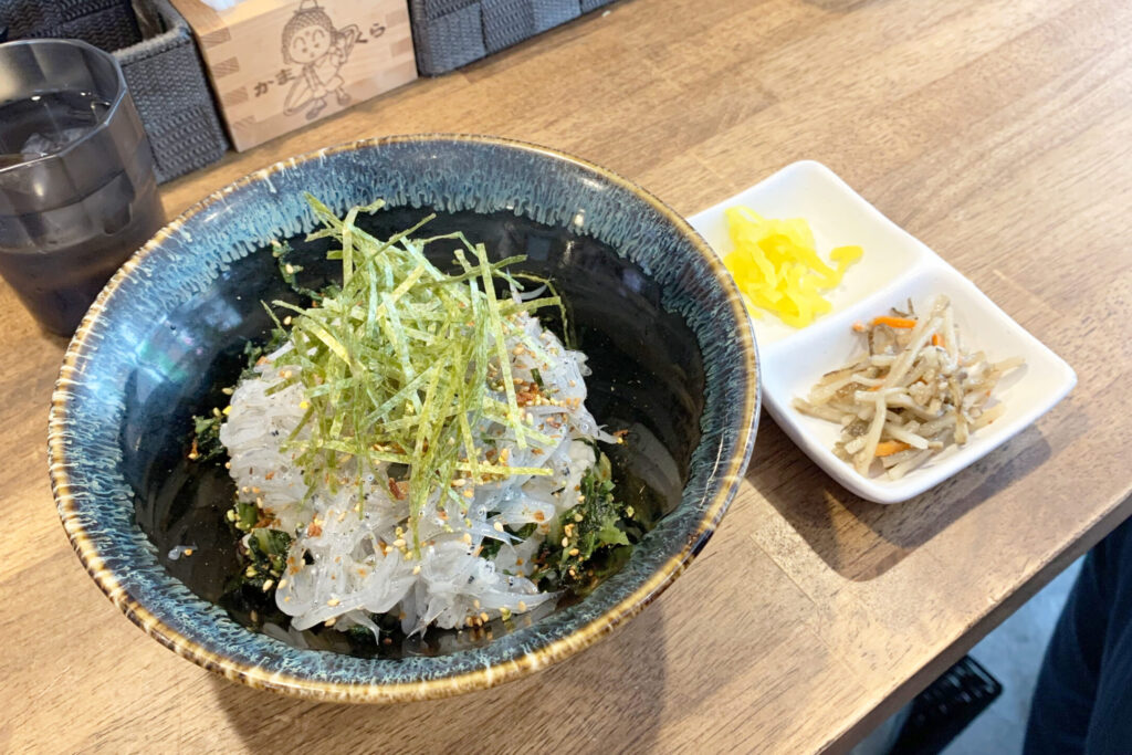 Nama Shirasu-don, Fresh Raow Shirasu Rice Bowl, Kamakura, Tokyo Walking