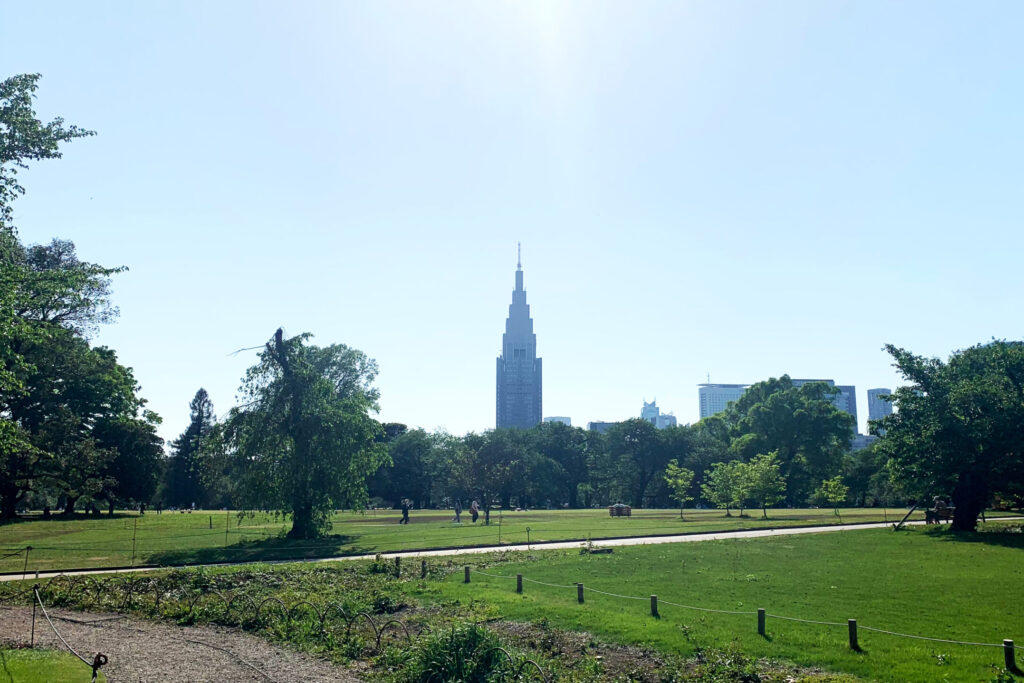 Lawn Area, Shinjuku Gyoen, Tokyo Walking Guide
