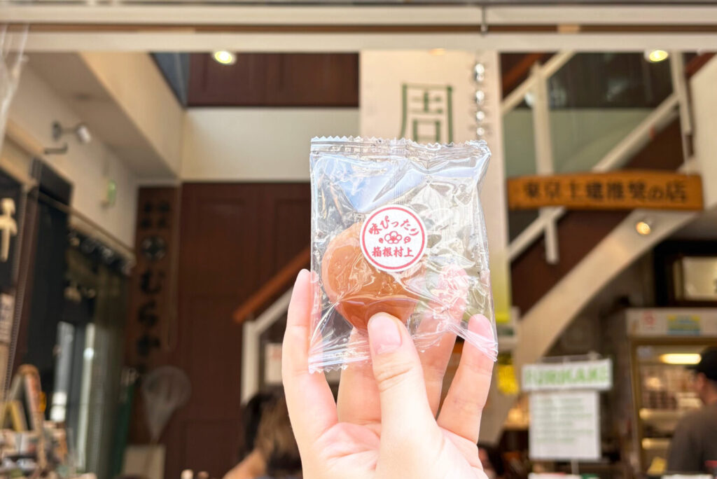 Umeboshi,Hakone Yumoto Shopping Street, Hakone, Tokyo Walking