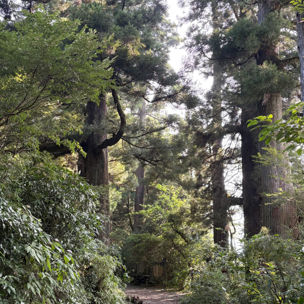Old Tokaido II, Moto Hakone, Hakone, Tokyo Walking