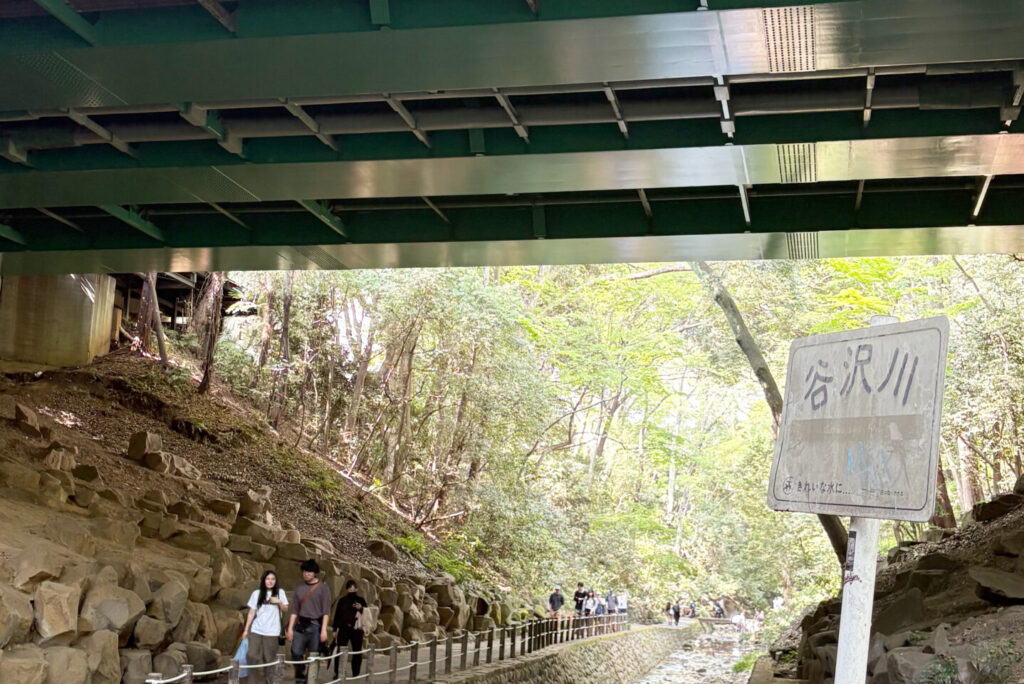 Todoroki Valley 4, Tokyo Walking