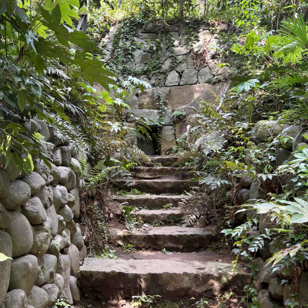 Todoroki Ravine No. 3 Horizontal Cave Tomb, Todoroki Valley, Tokyo Walking