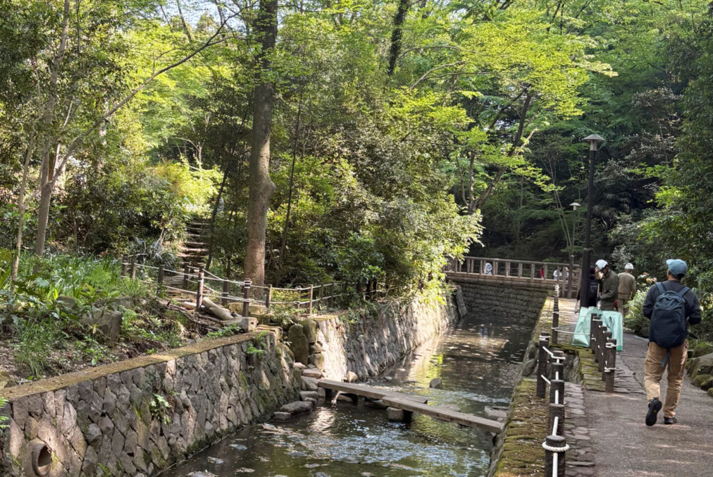 Todoroki Valley 1, Tokyo Walking