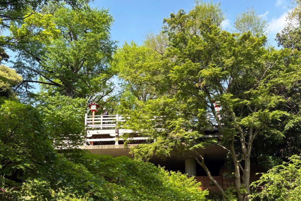 Terrace, Todoroki Fudoson, Todoroki Valley, Tokyo Walking