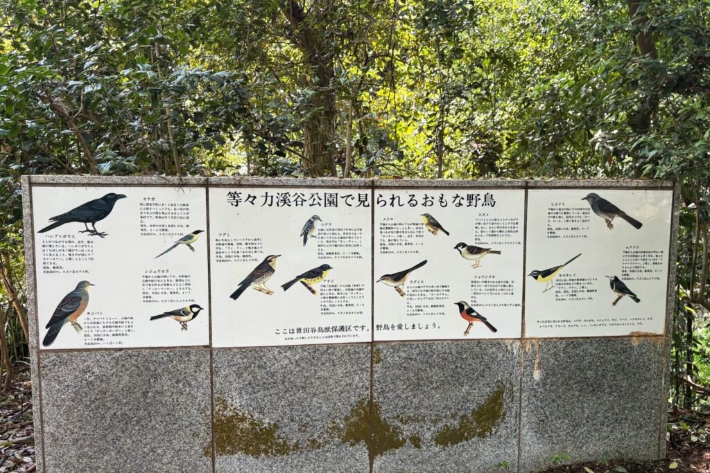 Bird Sign Board, Todoroki Valley, Tokyo Walking