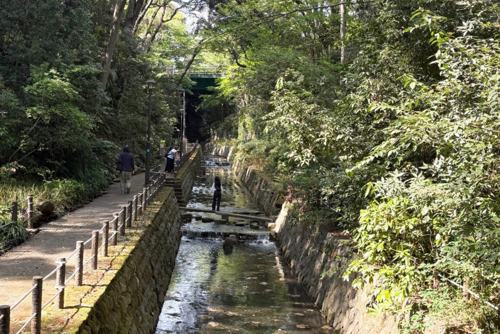 Todoroki Valley 2, Tokyo Walking
