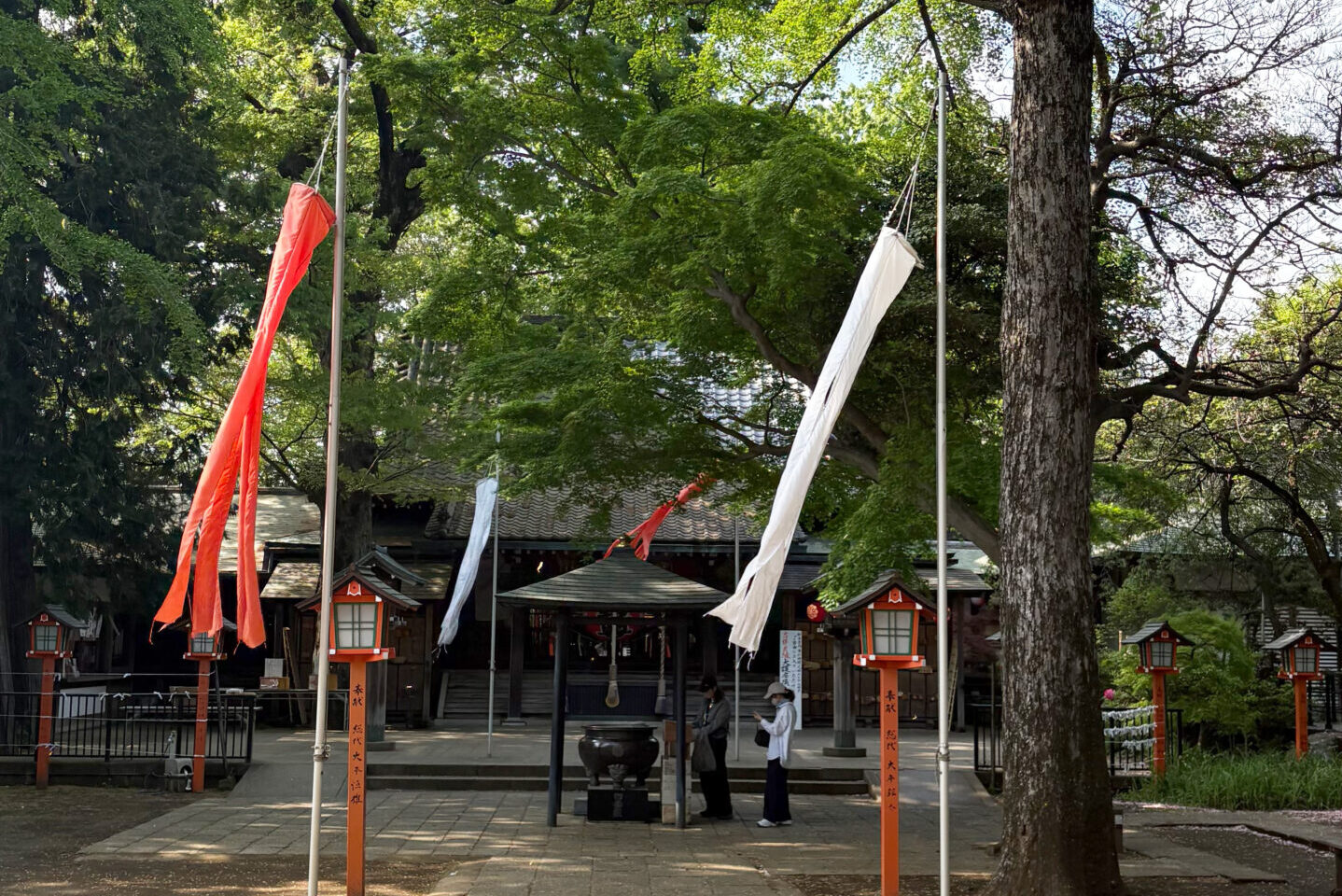 Todoroki Fudoson, Todoroki Valley, Tokyo Walking