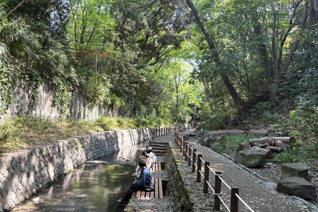 Todoroki Valley 3, Tokyo Walking